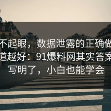 看似不起眼，数据泄露的正确做法越早知道越好：91爆料网其实答案早就写明了，小白也能学会