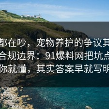 大家都在吵，宠物养护的争议其实就卡在合规边界：91爆料网把坑点写明完你就懂，其实答案早就写明了