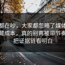 大家都在吵，大家都忽略了媒体素养的隐藏成本，真的别再被带节奏，91把证据链看明白