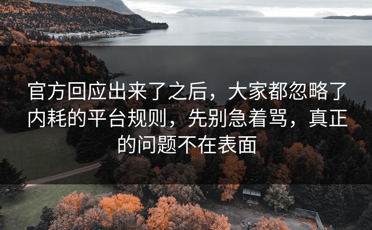 官方回应出来了之后，大家都忽略了内耗的平台规则，先别急着骂，真正的问题不在表面  第1张