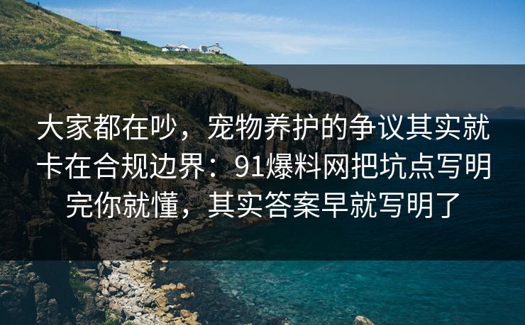 大家都在吵，宠物养护的争议其实就卡在合规边界：91爆料网把坑点写明完你就懂，其实答案早就写明了  第1张