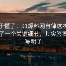 我终于懂了：91爆料网自律这次让我明白了一个关键细节，其实答案早就写明了