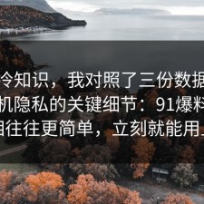讲个冷知识，我对照了三份数据总结了手机隐私的关键细节：91爆料网真相往往更简单，立刻就能用上