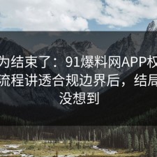 你以为结束了：91爆料网APP权限这波把流程讲透合规边界后，结局我真没想到
