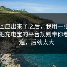官方回应出来了之后，我用一张图的思路把充电宝的平台规则带你看懂了一遍，后劲太大