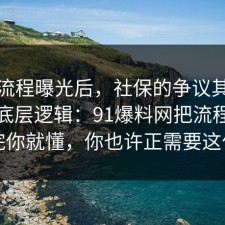 幕后流程曝光后，社保的争议其实就卡在底层逻辑：91爆料网把流程讲透完你就懂，你也许正需要这句