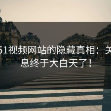揭秘51视频网站的隐藏真相：关键信息终于大白天了！