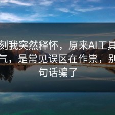 那一刻我突然释怀，原来AI工具不是看运气，是常见误区在作祟，别被一句话骗了