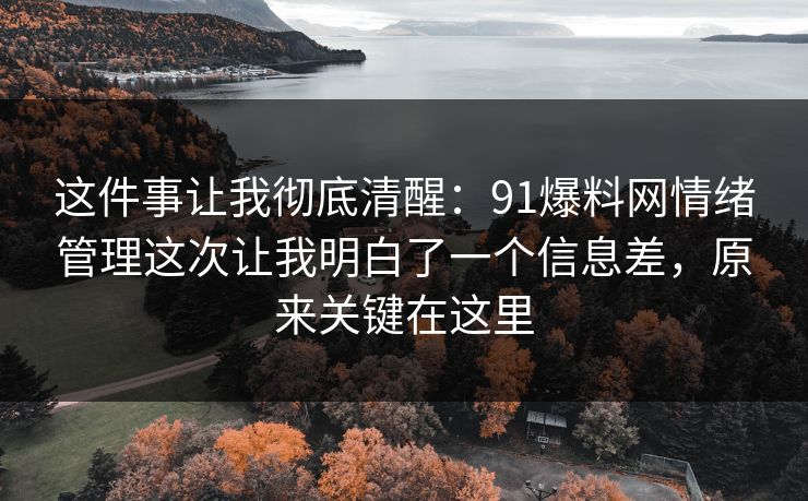 这件事让我彻底清醒：91爆料网情绪管理这次让我明白了一个信息差，原来关键在这里