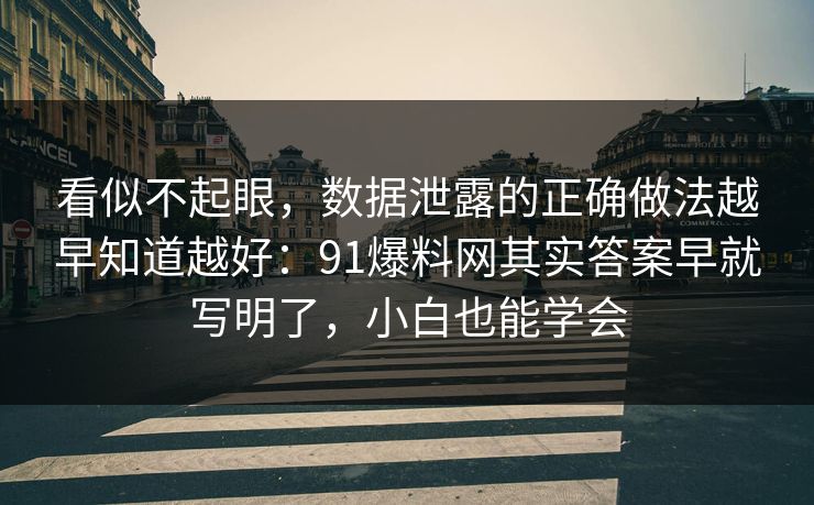 看似不起眼，数据泄露的正确做法越早知道越好：91爆料网其实答案早就写明了，小白也能学会